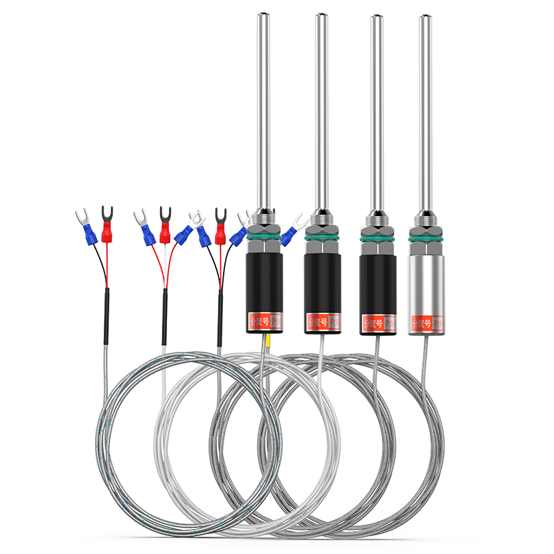 PT100溫度傳感器13_http://www.radeberger.com.cn_溫度儀表_第1張