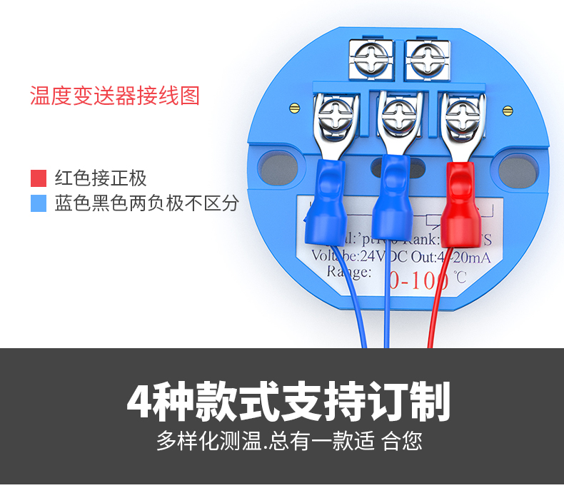 PT100溫度傳感器13_http://www.radeberger.com.cn_溫度儀表_第14張
