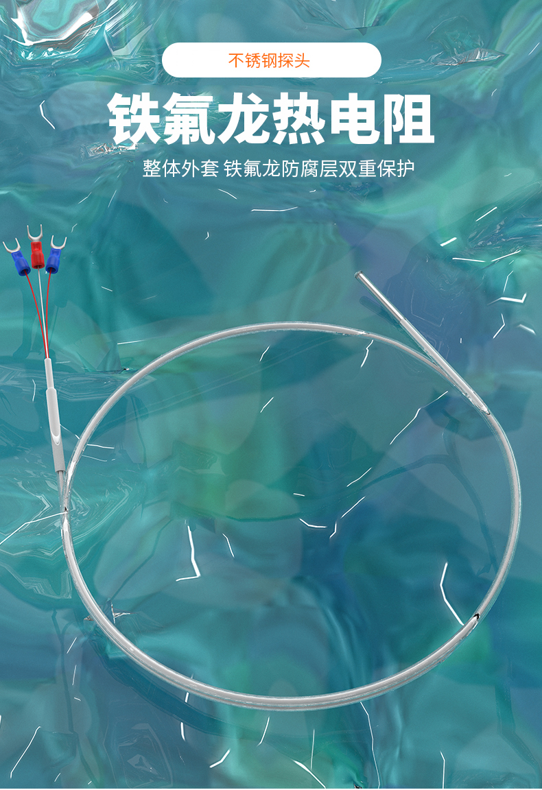 鐵氟龍熱電阻12_http://www.radeberger.com.cn_溫度儀表_第4張