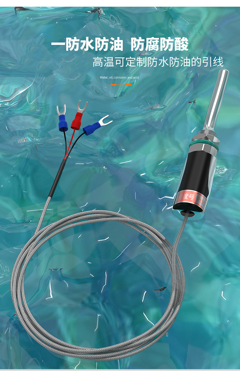 PT100溫度傳感器13_http://www.radeberger.com.cn_溫度儀表_第9張