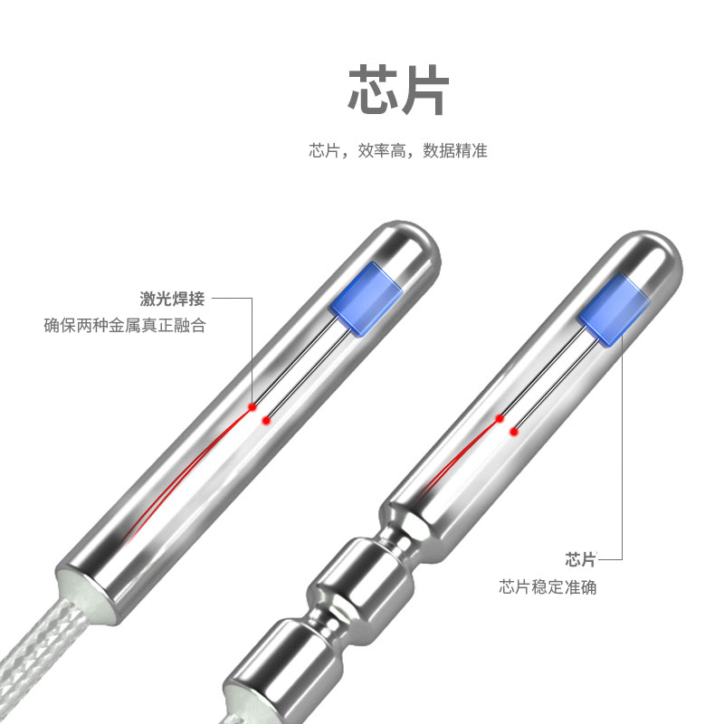 PT100溫度傳感器20_http://www.radeberger.com.cn_溫度儀表_第2張