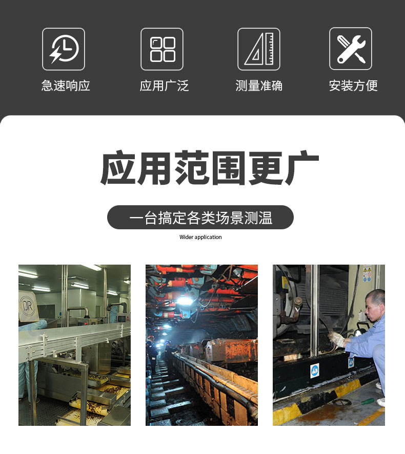 PT100溫度傳感器20_http://www.radeberger.com.cn_溫度儀表_第6張