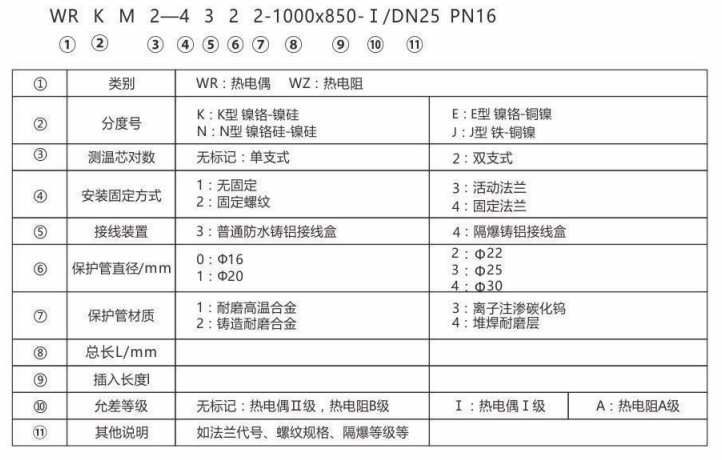 耐磨熱電偶/熱電阻_http://www.radeberger.com.cn_專用溫度傳感器_第2張